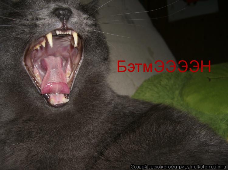 БэтмЭЭЭЭН... Котоматрица: БэтмЭЭЭЭН