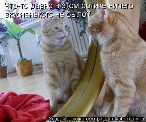 Что-то давно в этом ротике ничего вкусненького не было?... Котоматрица: Что-то давно в этом ротике ничего вкусненького не было?
