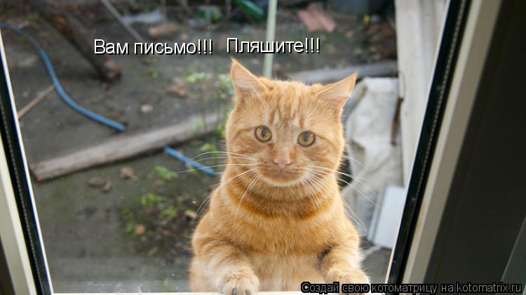 Вам письмо!!! Пляшите!!!... Котоматрица: Вам письмо!!! Пляшите!!!
