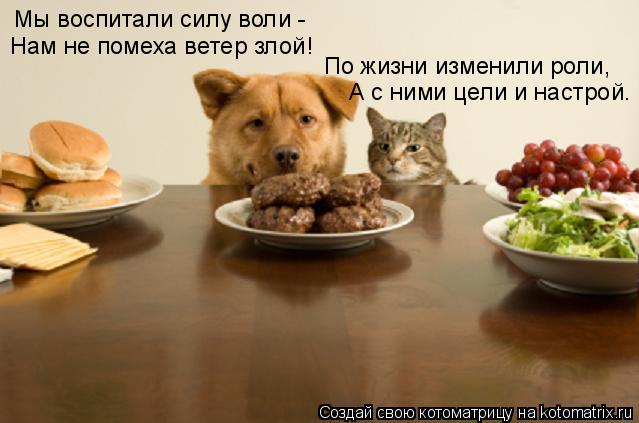 Мы воспитали силу воли - Нам не помеха ветер злой! По жизни изменили роли, А с ними цели и настрой.... Котоматрица: Мы воспитали силу воли - Нам не помеха ветер злой! По жизни изменили роли, А с ними цели и настрой.