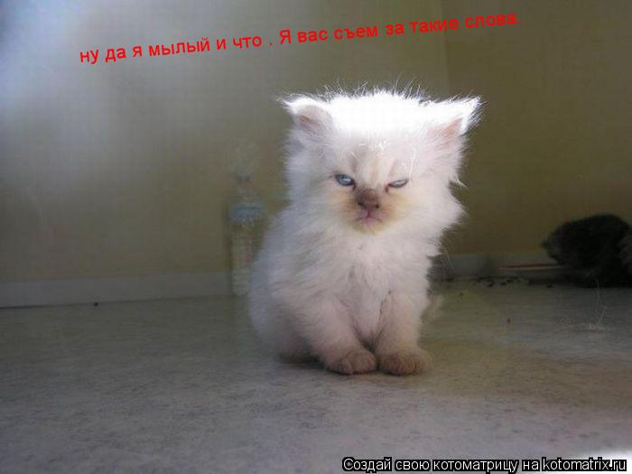 ну да я мылый и что . Я вас съем за такие слова. ну да я мылый и что . Я вас съем за такие слова.... Котоматрица: ну да я мылый и что . Я вас съем за такие слова. ну да я мылый и что . Я вас съем за такие слова.