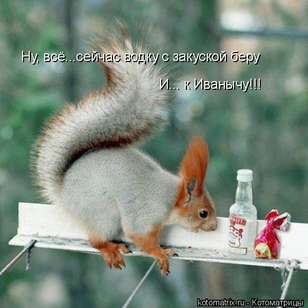 Ну, всё...сейчас водку с закуской беру И... к Иванычу!!!... Котоматрица: Ну, всё...сейчас водку с закуской беру И... к Иванычу!!!