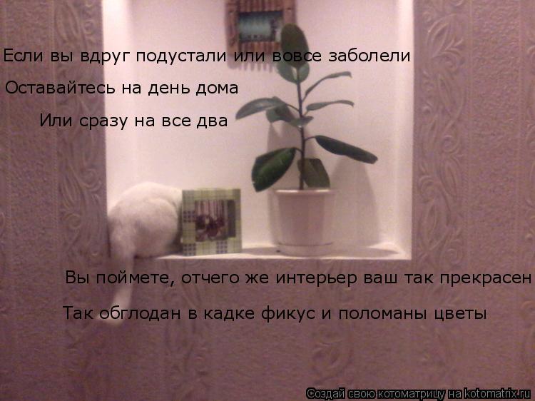 Оставайтесь на день дома Или сразу на все два Если вы вдруг подустали или вовсе заболели Вы поймете, ... Котоматрица: Оставайтесь на день дома Или сразу на все два Если вы вдруг подустали или вовсе заболели Вы поймете, отчего же интерьер ваш так прекрасен Та