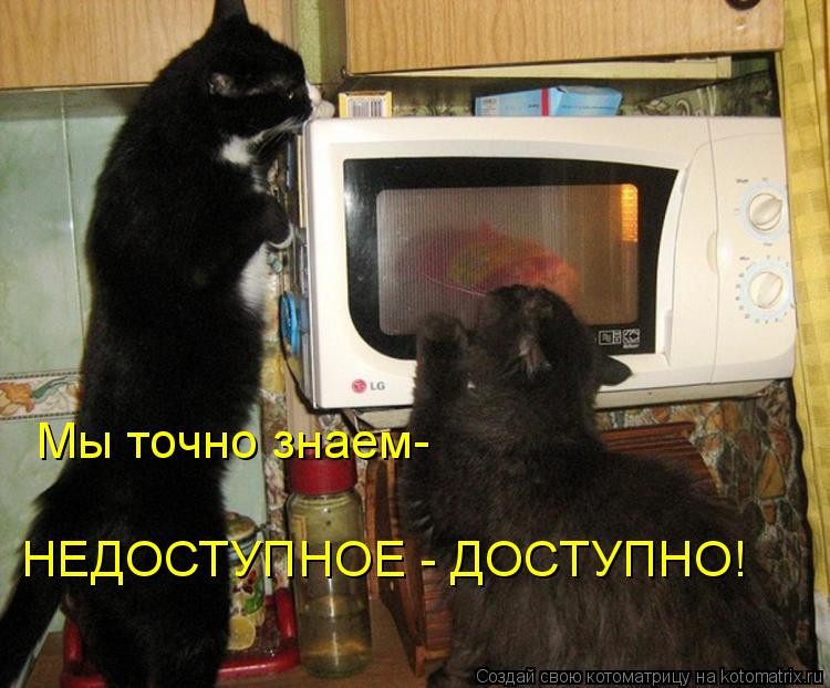 Мы точно знаем- НЕДОСТУПНОЕ - ДОСТУПНО!... Котоматрица: Мы точно знаем- НЕДОСТУПНОЕ - ДОСТУПНО!