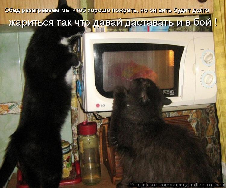 Обед разагреваем мы чтоб хорошо пожрать, но он вить будит долго жариться так что давай даставать и в... Котоматрица: Обед разагреваем мы чтоб хорошо пожрать, но он вить будит долго жариться так что давай даставать и в бой !