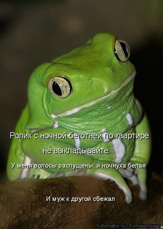 Ролик с ночной беготней по квартире не выкладывайте У меня волосы распущены, и ночнуха белая И муж к ... Котоматрица: Ролик с ночной беготней по квартире не выкладывайте У меня волосы распущены, и ночнуха белая И муж к другой сбежал