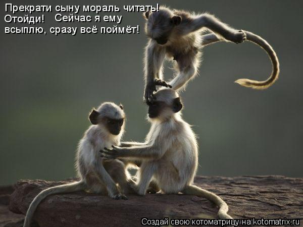 Прекрати сыну мораль читать! Отойди! Сейчас я ему всыплю, сразу всё поймёт!... Котоматрица: Прекрати сыну мораль читать! Отойди! Сейчас я ему всыплю, сразу всё поймёт!