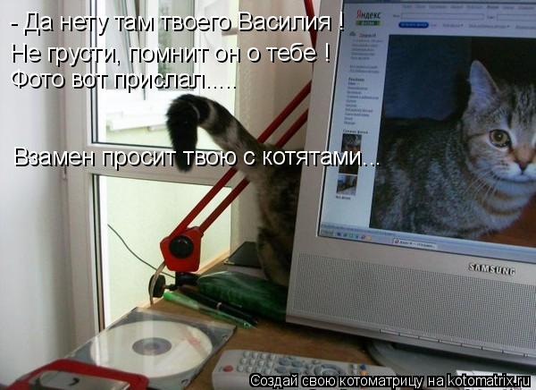 - Да нету там твоего Василия ! Не грусти, помнит он о тебе ! Фото вот прислал..... Взамен просит твою... Котоматрица: - Да нету там твоего Василия ! Не грусти, помнит он о тебе ! Фото вот прислал..... Взамен просит твою с котятами...