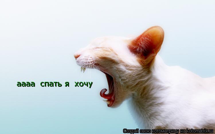 аааа спать я хочу... Котоматрица: аааа спать я хочу