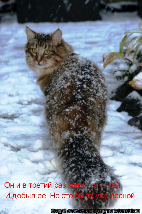 И добыл ее. Но это было уже весной Он и в третий раз ходил за елкой.... Котоматрица: И добыл ее. Но это было уже весной Он и в третий раз ходил за елкой.