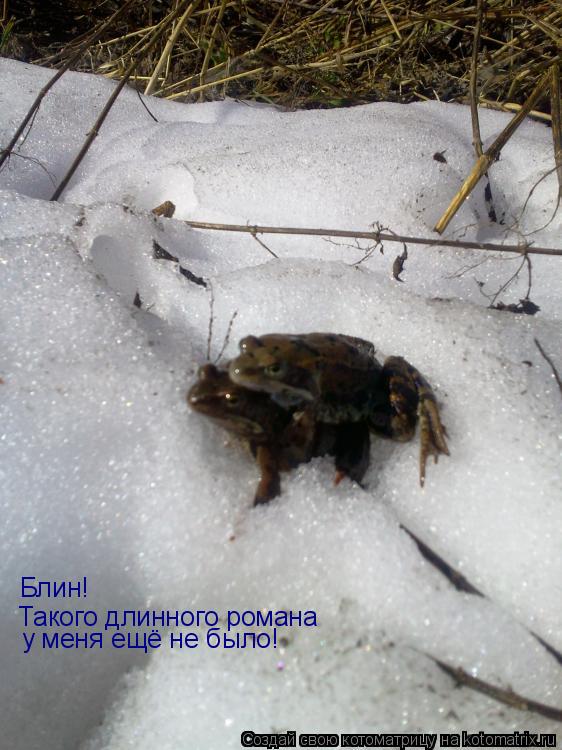 Блин! Такого длинного романа у меня ещё не было!... Котоматрица: Блин! Такого длинного романа у меня ещё не было!