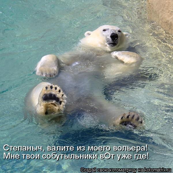 Степаныч, валите из моего вольера! Мне твои собутыльники вОт уже где!... Котоматрица: Степаныч, валите из моего вольера! Мне твои собутыльники вОт уже где!