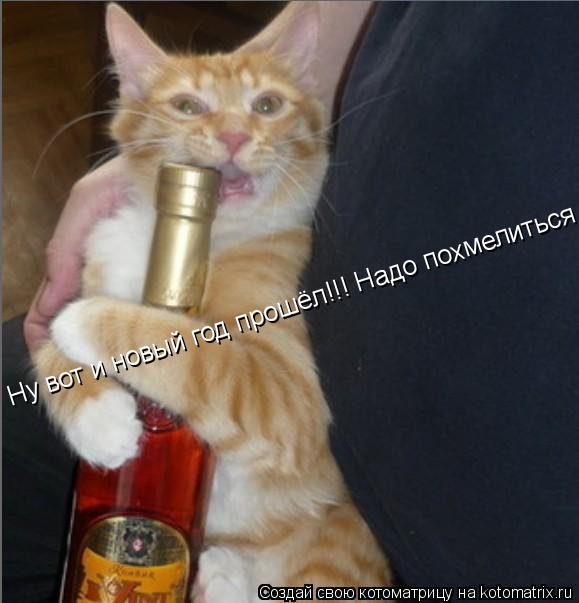 Ну вот и новый год прошёл!!! Надо похмелиться !!... Котоматрица: Ну вот и новый год прошёл!!! Надо похмелиться !!