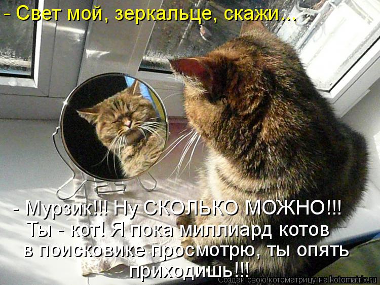 - Свет мой, зеркальце, скажи... - Мурзик!!! Ну СКОЛЬКО МОЖНО!!! Ты - кот! Я пока миллиард котов в пои... Котоматрица: - Свет мой, зеркальце, скажи... - Мурзик!!! Ну СКОЛЬКО МОЖНО!!! Ты - кот! Я пока миллиард котов в поисковике просмотрю, ты опять приходишь!!!