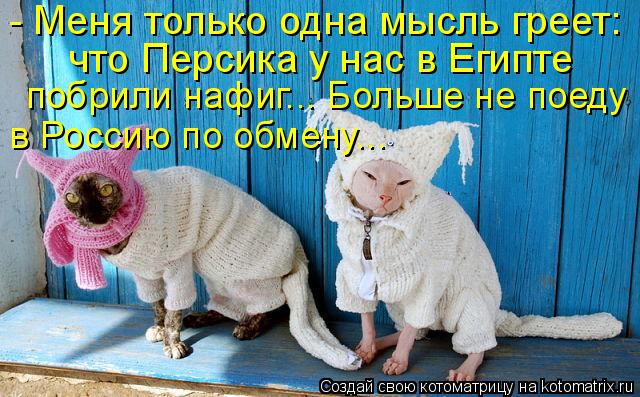 - Меня только одна мысль греет: что Персика у нас в Египте побрили нафиг... Больше не поеду в Россию... Котоматрица: - Меня только одна мысль греет: что Персика у нас в Египте побрили нафиг... Больше не поеду в Россию по обмену...