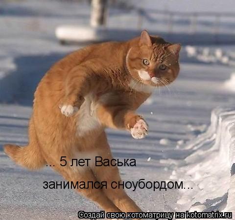 ... 5 лет Васька занимался сноубордом...... Котоматрица: ... 5 лет Васька занимался сноубордом...