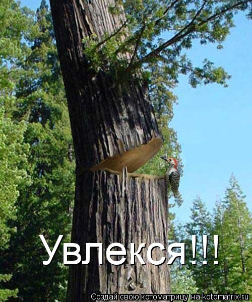Увлекся!!!... Котоматрица: Увлекся!!!