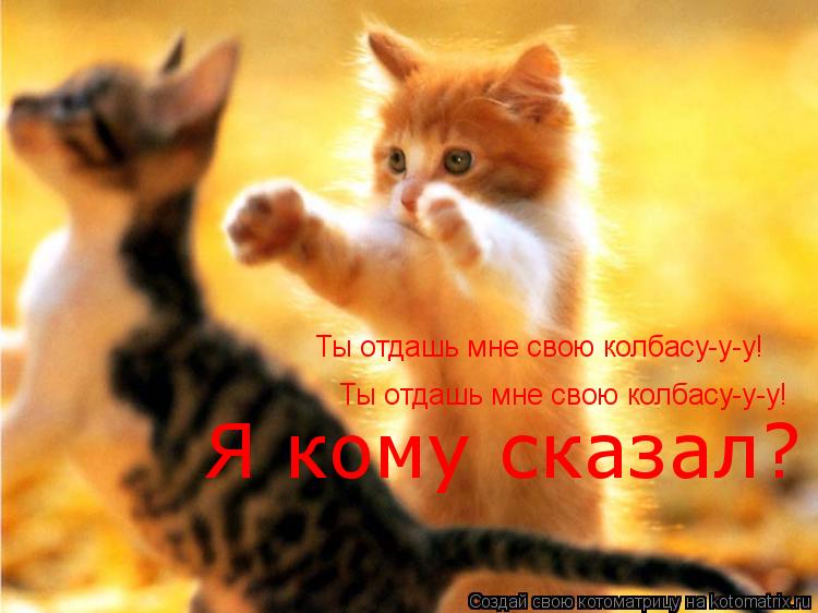 Ты отдашь мне свою колбасу-у-у! Ты отдашь мне свою колбасу-у-у! Я кому сказал?... Котоматрица: Ты отдашь мне свою колбасу-у-у! Ты отдашь мне свою колбасу-у-у! Я кому сказал?