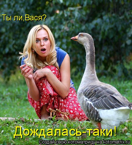 Ты ли,Вася? Дождалась-таки!... Котоматрица: Ты ли,Вася? Дождалась-таки!