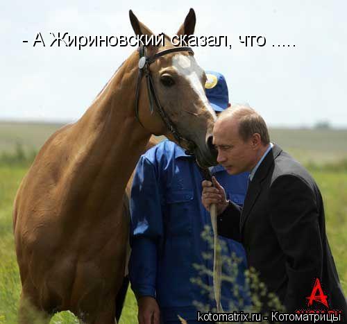 Котоматрица: - А Жириновский сказал, что .....