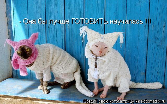 Котоматрица: - Она бы лучше ГОТОВИТЬ научилась !!!