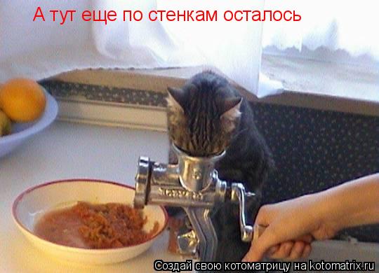 Котоматрица: А тут еще по стенкам осталось