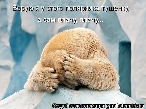 Котоматрица: Ворую я у этого полярника тушенку,  а сам плачу, плачу...