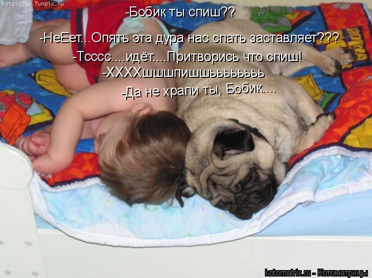 Котоматрица: -Бобик ты спиш?? -НеЕет...Опять эта дура нас спать заставляет??? -Тсссс....идёт....Притворись что спиш! -ХХХХшшшпишшьььььььь -Да не храпи ты, Бобик.