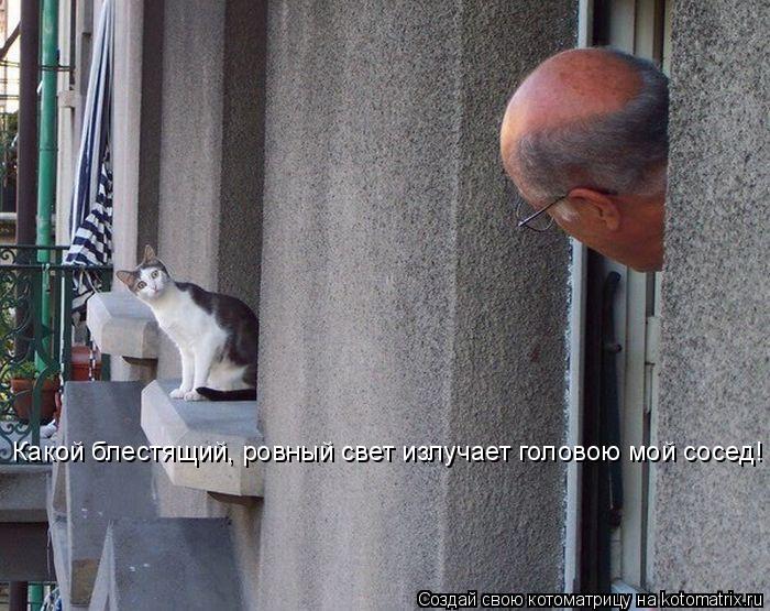 Котоматрица: Какой блестящий, ровный свет излучает головою мой сосед!