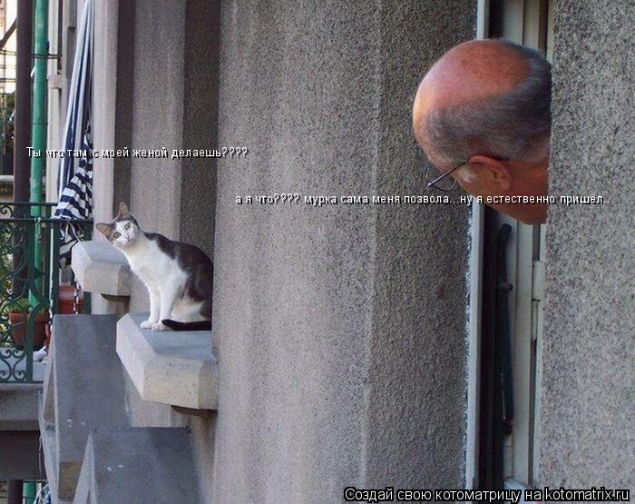 Котоматрица: а я что???? мурка сама меня позвола...ну я естественно пришёл а я что???? мурка сама меня позвола...ну я естественно пришёл.. Ты что там с моей жено