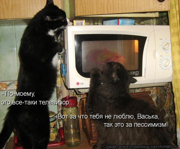 Котоматрица: - По-моему, это все-таки телевизор... - Вот за что тебя не люблю, Васька, так это за пессимизм!