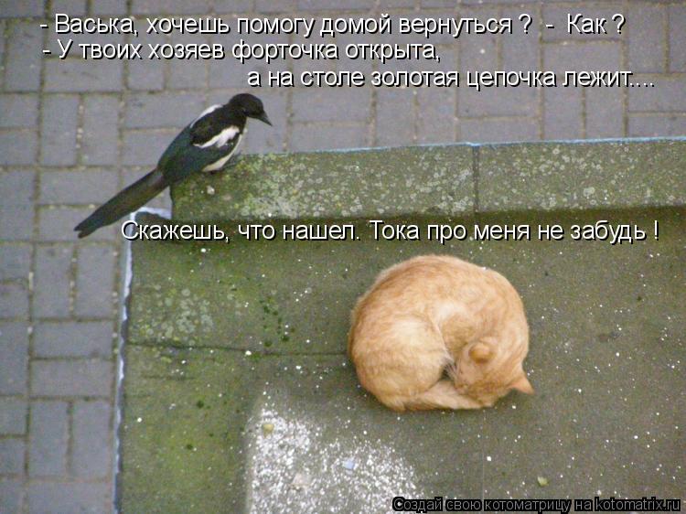 Котоматрица: - Васька, хочешь помогу домой вернуться ?  -  Как ? - У твоих хозяев форточка открыта,  а на столе золотая цепочка лежит.... Скажешь, что нашел. Ток