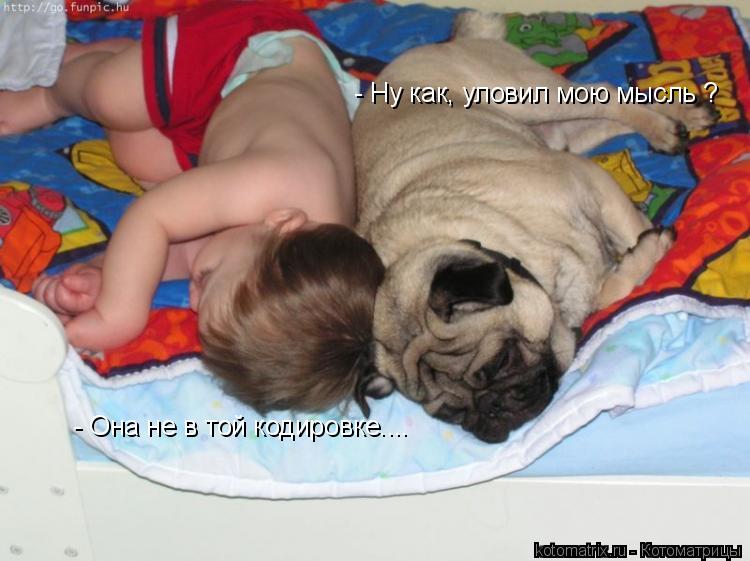 Котоматрица: - Ну как, уловил мою мысль ? - Она не в той кодировке....