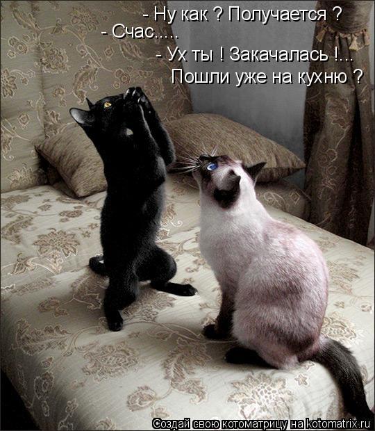 Котоматрица: - Ну как ? Получается ? - Счас..... - Ух ты ! Закачалась !... Пошли уже на кухню ?