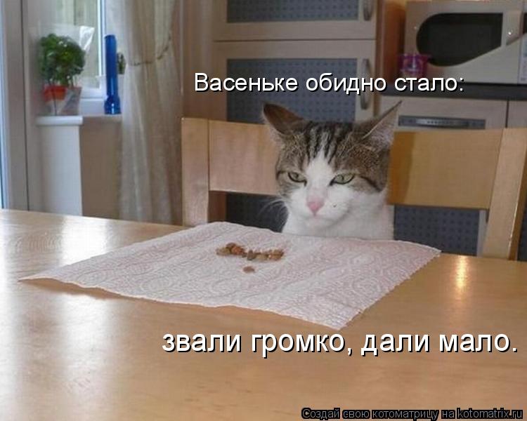 Васеньке обидно стало: звали громко, дали мало.... Котоматрица: Васеньке обидно стало: звали громко, дали мало.