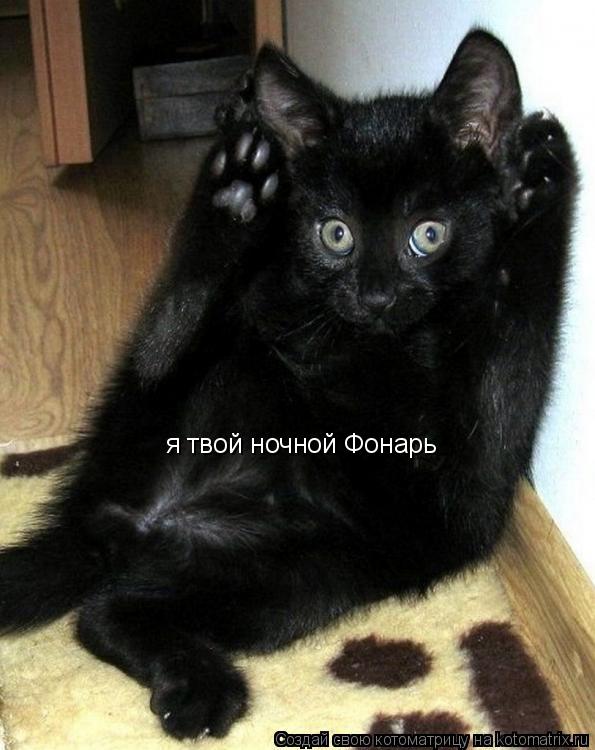 Котоматрица: я твой ночной Фонарь