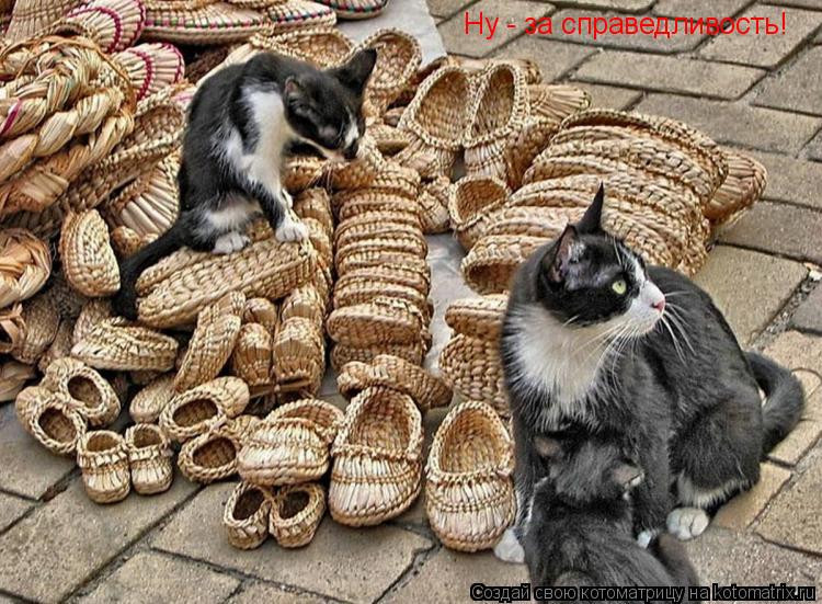 Котоматрица: Ну - за справедливость!