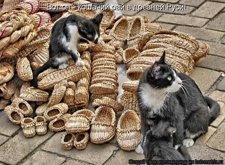 Котоматрица: Вот он - кошачий рай в древней Руси!