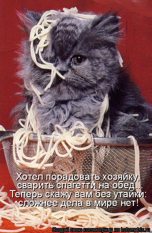 Хотел порадовать хозяйку, сварить спагетти на обед... Теперь скажу вам без утайки: сложнее дела в мир... Котоматрица: Хотел порадовать хозяйку, сварить спагетти на обед... Теперь скажу вам без утайки: сложнее дела в мире нет!