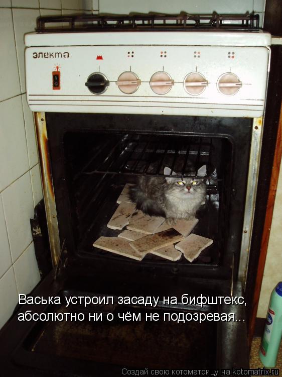 Котоматрица: Васька устроил засаду на бифштекс, абсолютно ни о чём не подозревая...