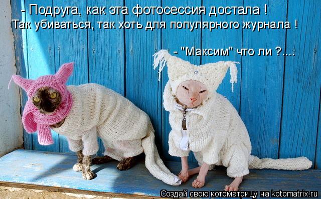Котоматрица: - Подруга, как эта фотосессия достала ! Так убиваться, так хоть для популярного журнала ! - "Максим" что ли ?....