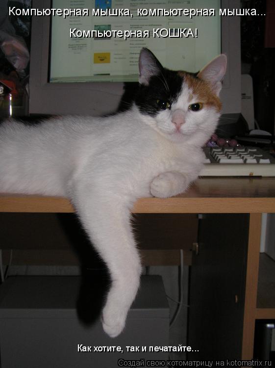 Котоматрица: Компьютерная мышка, компьютерная мышка...  Компьютерная мышка, компьютерная мышка...  Компьютерная КОШКА! Как хотите, так и печатайте...