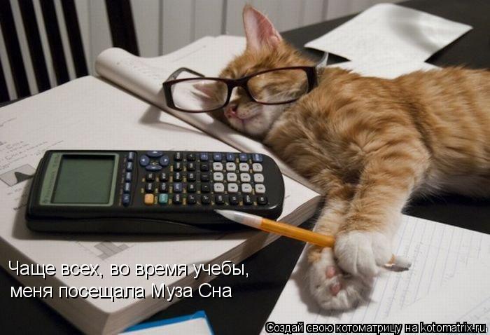 Котоматрица: Чаще всех, во время учебы, меня посещала Муза Сна