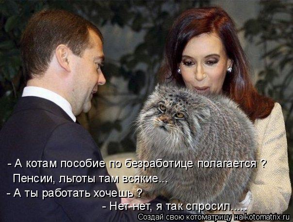Котоматрица: - А котам пособие по безработице полагается ? Пенсии, льготы там всякие... - А ты работать хочешь ? - Нет-нет, я так спросил.....