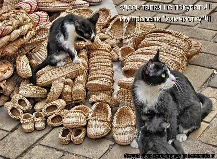 Котоматрица: сдесь тапки не покупать!!! им провели "химчистку"!!!
