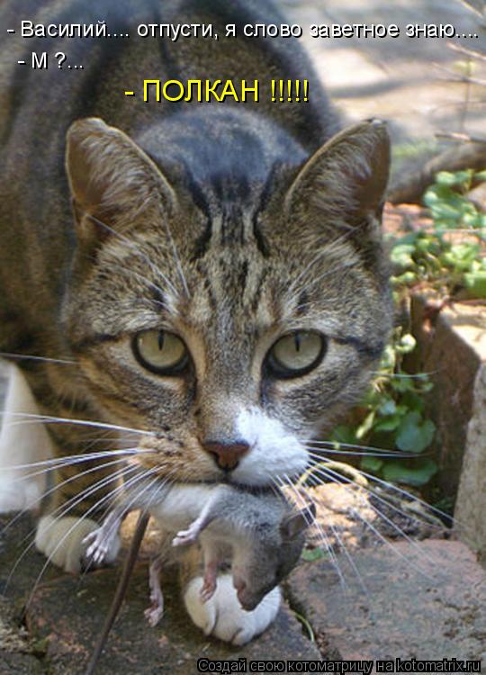 Котоматрица: - Василий.... отпусти, я слово заветное знаю.... - М ?... - ПОЛКАН !!!!!