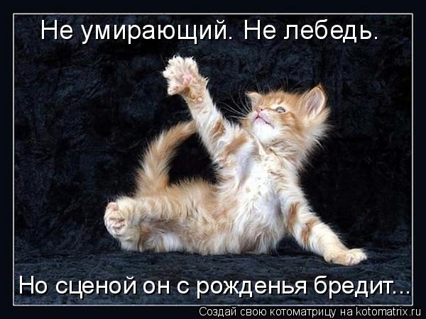 Котоматрица: Не умирающий. Не лебедь. Но сценой он с рожденья бредит...
