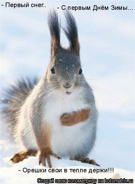 Котоматрица: - Первый снег.. - С первым Днём Зимы... - Орешки свои в тепле держи!!!
