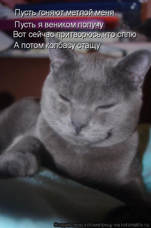Котоматрица: Пусть гоняют метлой меня Пусть я веником получу Вот сейчас притворюсь,что сплю А потом колбасу стащу