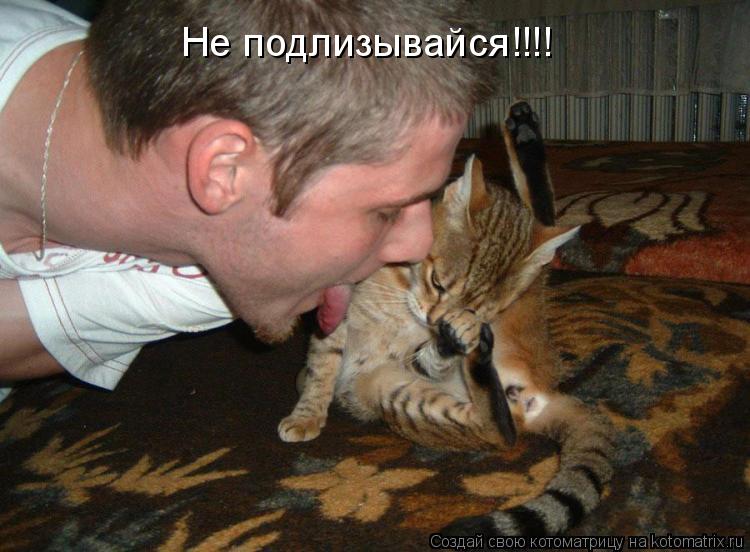 Не подлизывайся!!!!... Котоматрица: Не подлизывайся!!!!